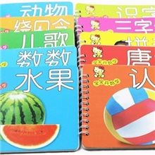 10本不同宝宝开始学启蒙学习识字卡宝宝书幼儿童书图文结合