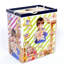 Citiblocs300P堆塔积木风靡全球获奖玩具儿童益智木制玩具