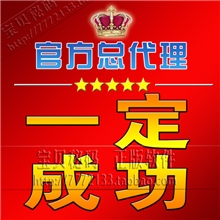 2013火爆代理产品虚拟自动充值软件0-0.5万元创业月万不是梦