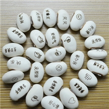 魔豆定制木盒魔豆白魔豆爱情魔豆种子批发定制LOGO魔豆植物