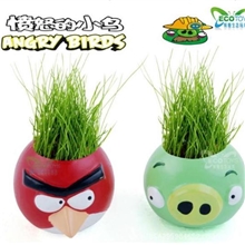 厂家直销特价批发多种卡通青草种植愤怒的小鸟草头娃青草种植