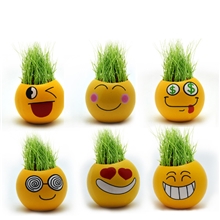 炫酷表情草头娃青草种植厂家直销创意迷你绿色植栽DIY草头娃