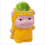 批发草头娃娃DIY桌面青草种植小白人青草种植猪猪侠草头娃娃