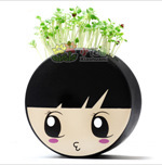 批发DIY桌面青草种植小白人青草种植超级剩女草头娃娃