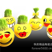 厂家直销彩陶草娃娃批发情侣礼品DIY青草娃娃QQ表情微型盆栽
