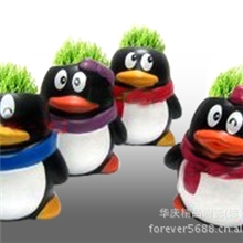 厂家直销青草娃娃桌面减压盆景情侣礼品QQ企鹅草头娃娃盆栽