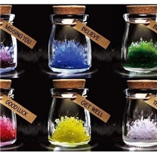 七夕热卖DIY许愿晶灵许愿水晶许愿精灵自种水晶许愿瓶