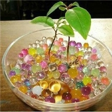 供应魔豆专用水晶泥魔土泡水长大水晶泥特价批发无土栽培