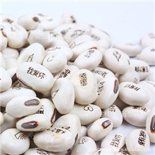 厂家直销〖白色〗魔豆中英文爱情祝福魔豆可定制