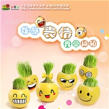 草头娃娃正品新奇特地摊(炫酷表情)桌面盆景diy种植礼物