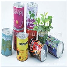 供应易拉罐花卉办公室摆饰迷你植物促销礼品微型盆栽