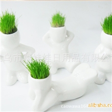 小白人草娃娃青草种植微型盆栽陶瓷工艺品/创意礼品DIY桌面摆件