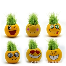 炫酷表情青草种植创意迷你盆栽DIY种植工艺礼品厂家直销