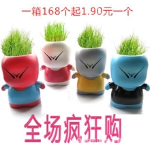 创意迷你系列DIY盆栽淘气郎工艺礼品迷你植物厂家直销