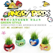 创意迷你盆栽DIY种植愤怒的小鸟系列工艺礼品厂家创意家居