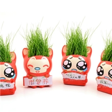 创意迷你盆栽DIY种植阿狸系列工艺礼品厂家直销创意家居