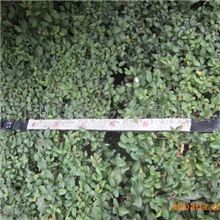 根据客户要求制作丝杆保护套圆形伸缩保护套质量保证