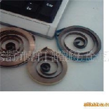 供应窝卷弹簧，金属弹片(图)