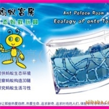生产加工蚂蚁宫房/工房/蚂蚁家园蚂蚁农场桌面宠物蚂蚁玩具特大