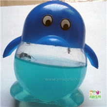 有趣生物系列蚂蚁Q仔大号有翅企鹅蚂蚁迷宫宠物蚂蚁工坊