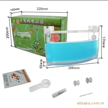 批发供应生态蚂蚁爬虫宠物窝宠物笼蚂蚁工坊蚂蚁工房