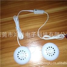 鸿胜带麦克风的小音箱