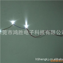 鸿胜LED灯加电池盒