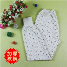 厂家直销女士秋裤中老年加厚保暖秋裤家居裤女式衬裤棉毛裤