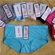 5001莫代尔内裤女式内裤批发大额批发
