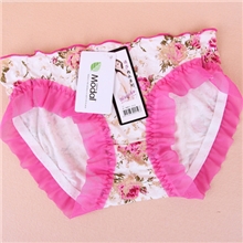 亏本降价：3041竹纤维女士印花高档可爱热销内裤莫代尔内裤批发