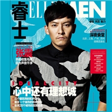 批发衬衫2013衬衫新款D家和平鸽飞鸟男士修身衬衫男S194一件代发