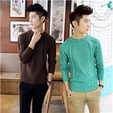 批发批发2013秋冬装新款纯色麻花针热卖时尚圆领男士毛衣针织衫