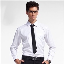 2013秋款男士防皱免烫衬衫纯白工作衫商务长袖衬衫衬衣男款
