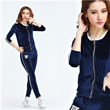 2013秋韩版天鹅绒运动套装女金丝绒卫衣套装休闲运动服