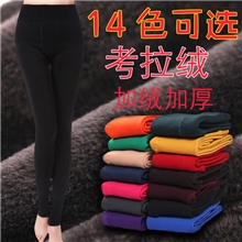 冬季考拉绒一体裤加厚加绒女保暖裤打底裤批发