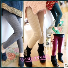 时尚小衣女童秋装2013新加绒针织打底裤童裤童装批发