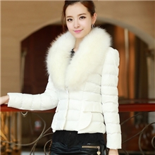 女装爆款促销新款冬装2013日韩大毛领短款棉衣棉服批发