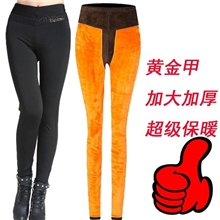 2013冬季加厚打底裤女加绒保暖裤弹力修身大码两层九分裤批发