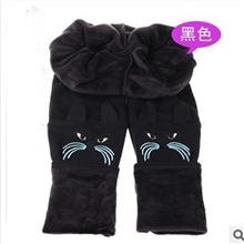 爆款大码小猫加厚打底裤小猫刺绣打底裤打底裤批发限时特价