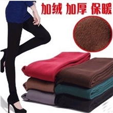 热卖七彩棉加绒加厚无缝一体打底裤抗起球保暖打底裤厂家直供