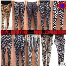 松梦蝶2061韩版牛奶冰丝新款灯笼裤彩色糖果色九分哈伦裤打底裤