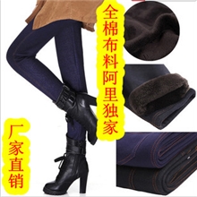 2013秋冬款大码女装全棉不倒绒加绒加厚仿牛仔打底裤保暖裤靴裤