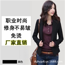2013秋冬新款韩版长袖女装毕业面试正装休闲女士西服小外套小西装