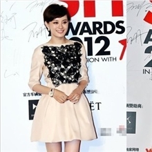 2013秋季大牌孙俪明星同款高档欧美复古连衣裙绣花中袖公主短裙