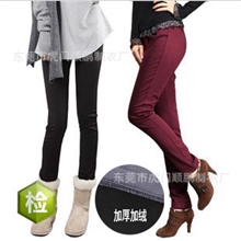 [荐]新款女装时尚日韩品牌女装铅笔裤小脚裤加绒裤厂家直销
