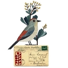 运费补差价专拍