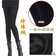 供应秋冬时尚无缝加厚一体打底裤珍珠绒踩脚考拉绒保暖裤批发