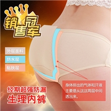 厂家直销生理裤经期防漏夜用莫代尔内裤女式内裤批发大版