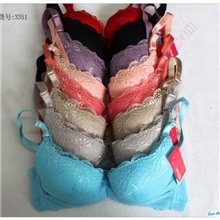 【大额批发】美体聚拢文胸性感百搭文胸内衣吉娜3351#（图）