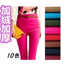 大码糖果色加绒加厚打底裤高腰修身显瘦潮铅笔裤保暖裤女裤批发